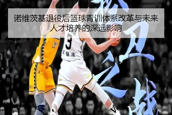 诺维茨基退役后篮球青训体系改革与未来人才培养的深远影响